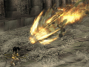 スライドショーの画像